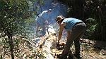 13-John & Heidi take on the fallen tree challenge